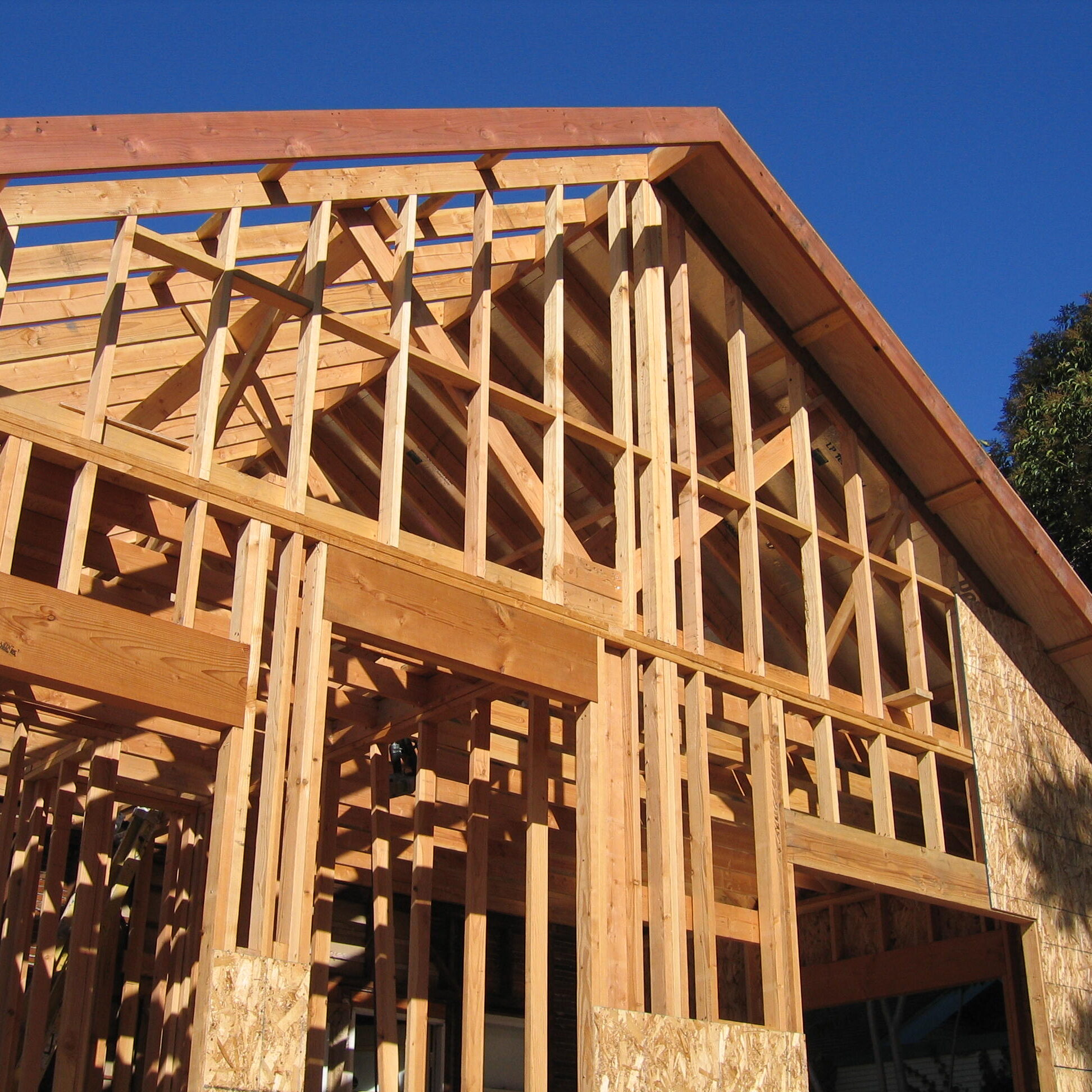 Dens' Ext. Framing Completed